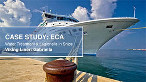 viking ECA case study