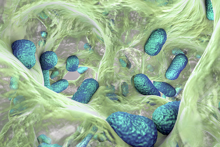Biofilm Of Bacterium Acinetobacter Baumannii